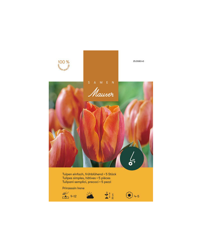 Princesse Irène, Frühe Tulpen Zwiebeln (orange)