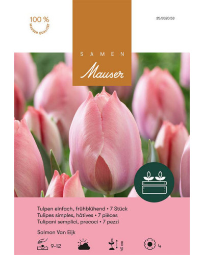 Tulpe Salmon van Eijk Zwiebeln