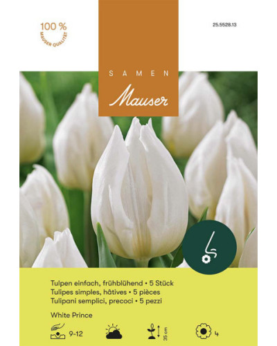 White Prince, Frühe Tulpen Zwiebeln (weiss)