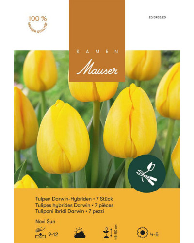 Novi Sun Darwin Hybrid Tulpen-Zwiebeln