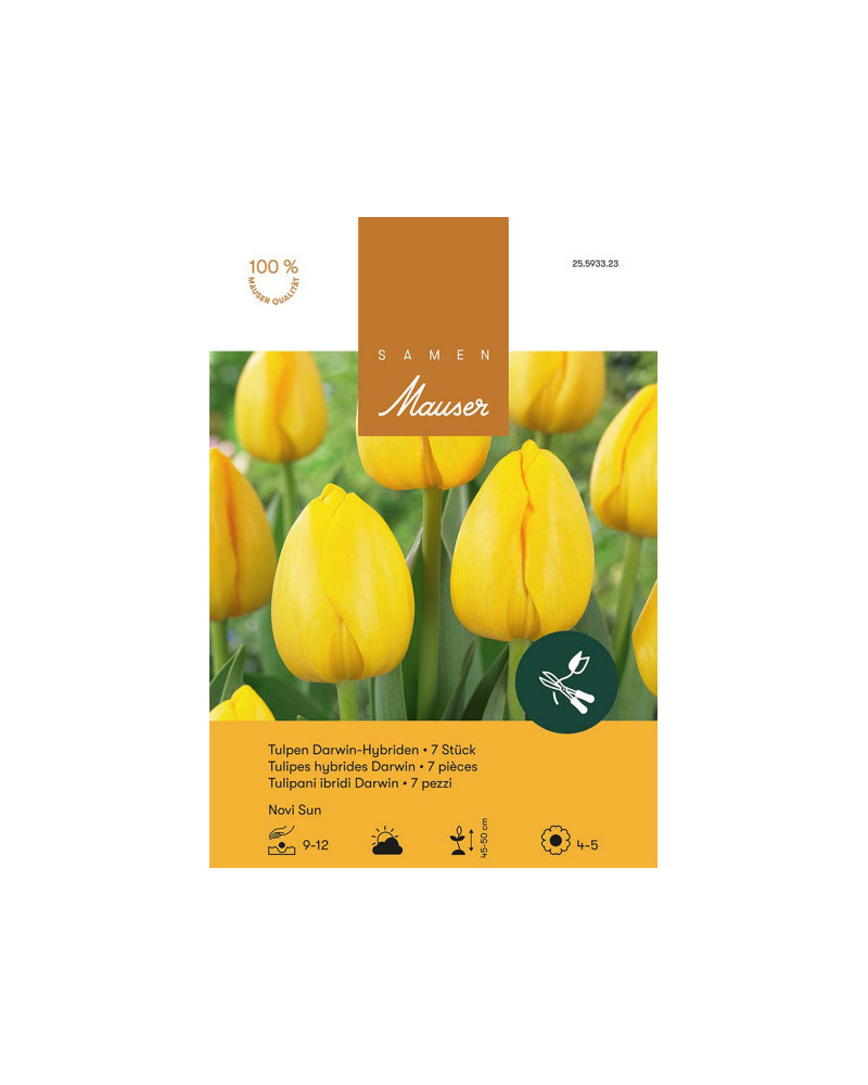 Novi Sun Darwin Hybrid Tulpen-Zwiebeln