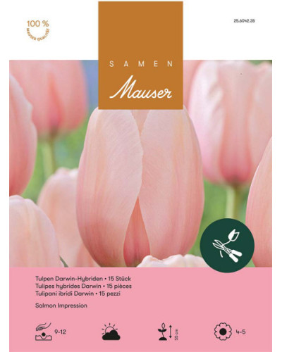 Salmon Impression, Darwin Hybrid Tulpen Zwiebeln (rosa)