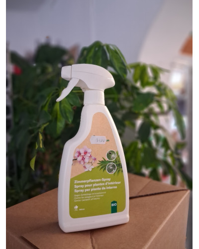 Zimmerpflanzen-Spray gegen Schädlinge