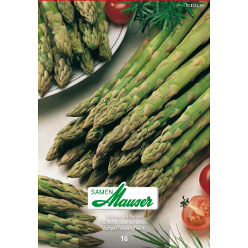 Spargel-Pflanzen