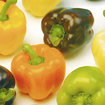 Peperoni und Peperoncini