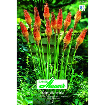 Exotische Schönheiten