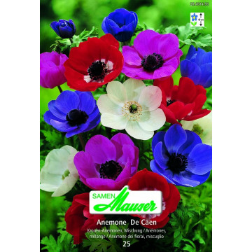 Diverse Blumenzwiebeln