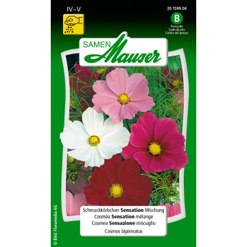 Schmuckkörbchen/Cosmos