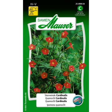 Topf- und Schlingpflanzen