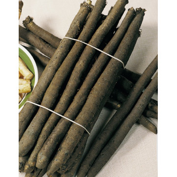 Sonstiges Wurzelgemüse