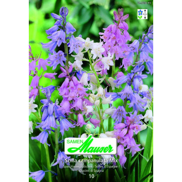 Scilla