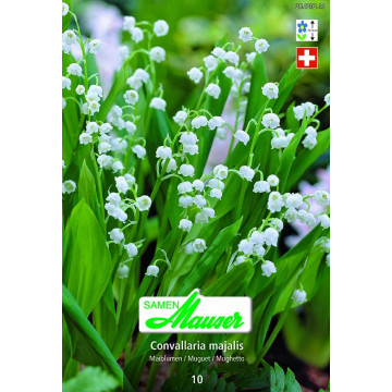 Blumen für schattige Nischen