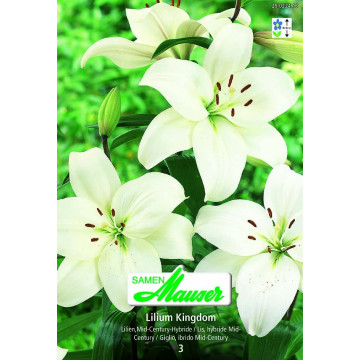 Lilien 