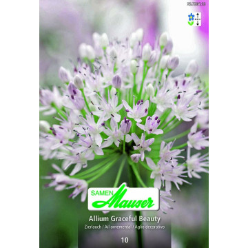 Allium Zierlauch 
