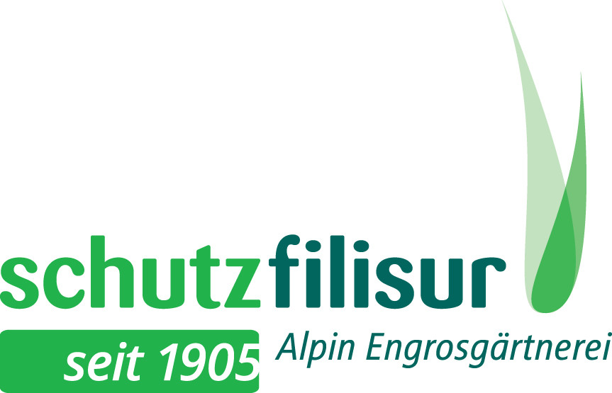 SCHUTZ FILISUR-Berggemüse aus Eigenproduktion