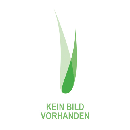Alpenblumen